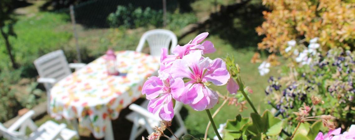 B&B Via Roma Cesate Kültér fotó